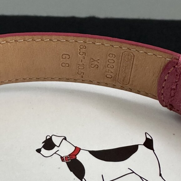 Pink Coach Dog Collar and Leash - Picture 5 of 11